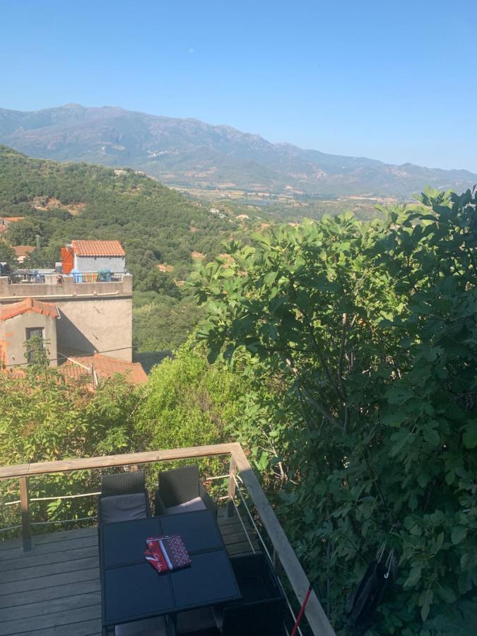 Maison Typique Corse Oletta  Exteriör bild